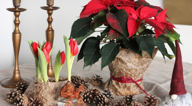 Hyvää joulua ja onnellista uutta vuotta!