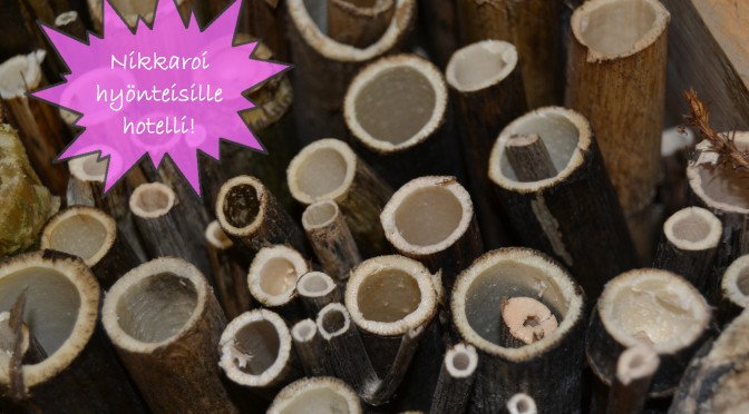 Hyönteisille hotelli