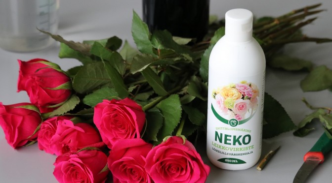 Pidennä leikkoruusujen kestoa