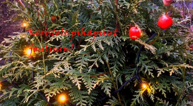 Koristele pihapuut jouluun