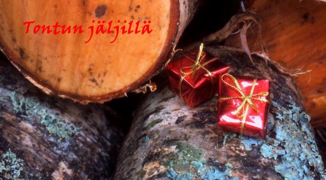 Tontun jäljillä