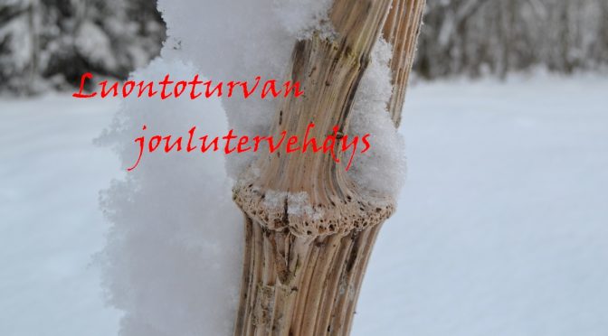 Luontoturvan joulutervehdys