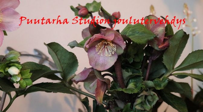 Puutarha Studion joulutervehdys