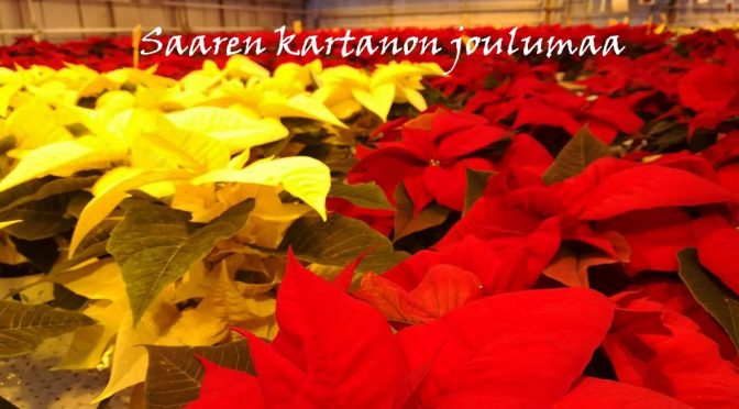 Terveiset Saaren kartanon joulumaasta