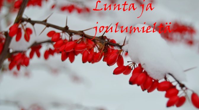 Lunta ja joulumieltä