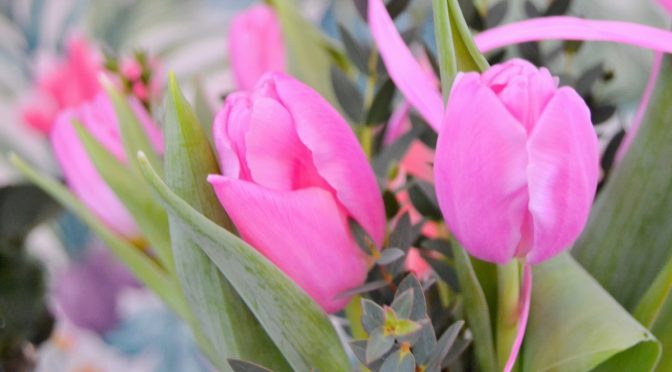 Ystävänpäivän tunnelmissa Nekolla