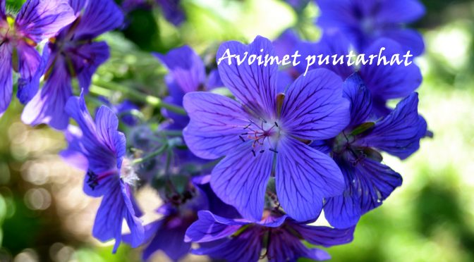 Puutarhaterapiaa avoimissa puutarhoissa